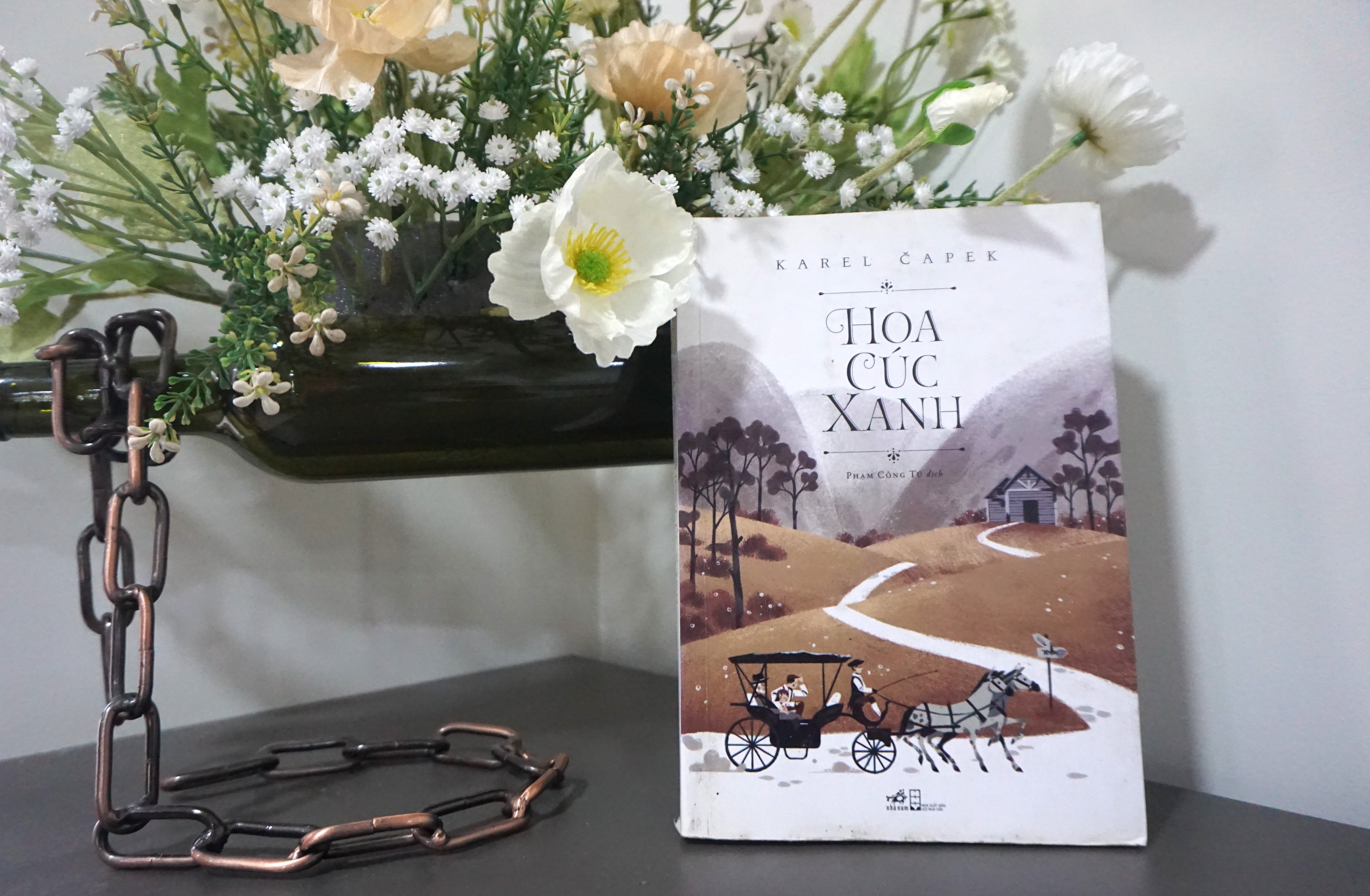 Bụi cúc xanh bên kia đường